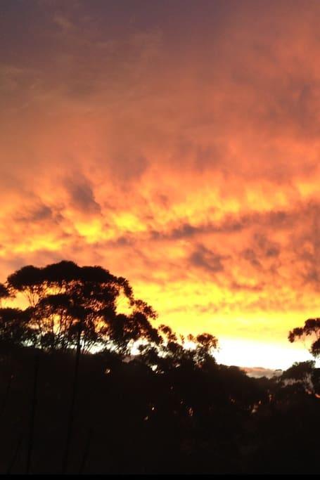 Avoca Beach And Bush Exterior photo