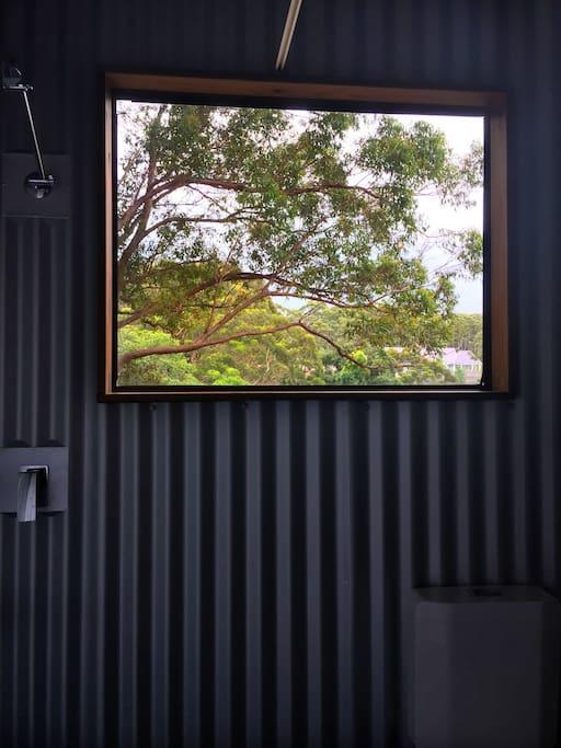 Avoca Beach And Bush Exterior photo