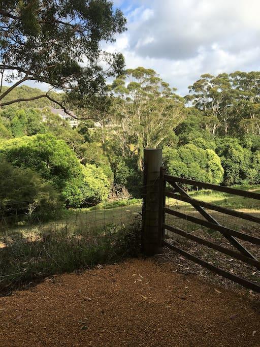Avoca Beach And Bush Exterior photo