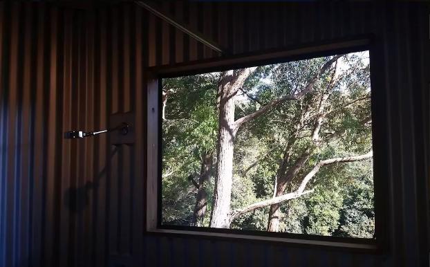 Avoca Beach And Bush Exterior photo